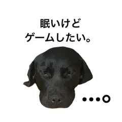 Takaho_20181031005334