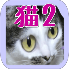 Family contact cat Sticker 2