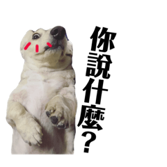 日常生活實用篇$$臘腸！