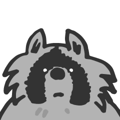 Lazy Raccoon 'Miko'