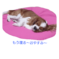 かわいいげんちゃんの日常 Line スタンプ Line Store