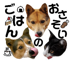 yukoring_20181031125501