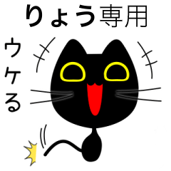 ryou only brack-cat