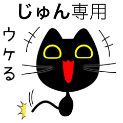 【じゅん】専用の黒猫です