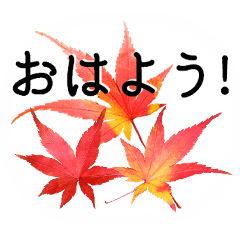 暮らしに花を 紅葉 Line スタンプ Line Store 暮らしに花を 紅葉 Line スタンプ Line Store