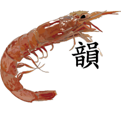 Shrimp Sticker 002