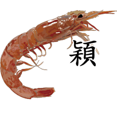 Shrimp Sticker 004