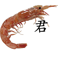 Shrimp Sticker 017