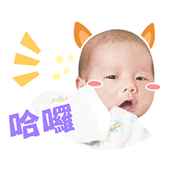 布丁言的鬼靈精怪 !