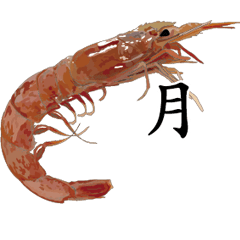 Shrimp Sticker 021