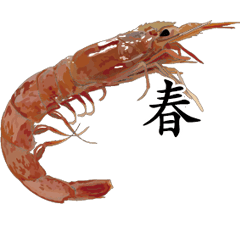 Shrimp Sticker 032