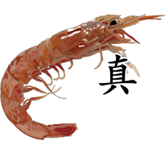 Shrimp Sticker 034