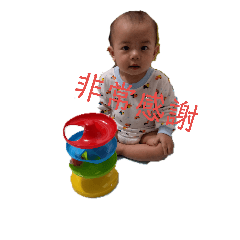 bibo bibo