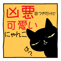 evil eyes cat(black cat)
