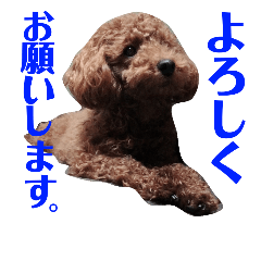 cute dog stamp!