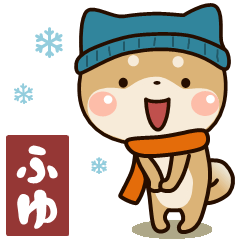 Shibainu winter