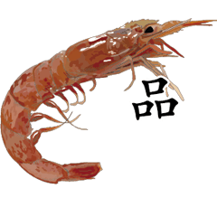 Shrimp Sticker 043