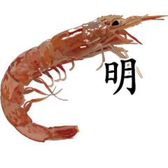 Shrimp Sticker 046