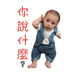 海豚成長篇