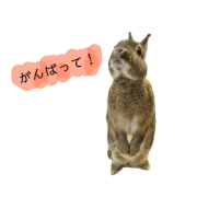 standing choco