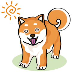 cute Shiba Inu Part 1