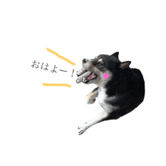 take_20181102094444