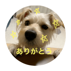 Ricky0329