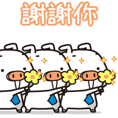 療癒☆豬豬大隊