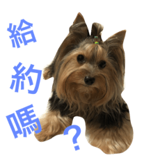 Money多多