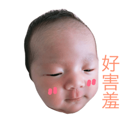 我是饅頭寶寶