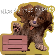 Attractive cavalier sticker
