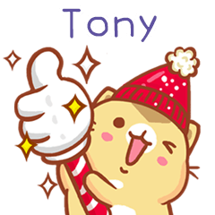 Niu Niu Cat-"Tony"Q