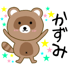 Raccoon Kazumi