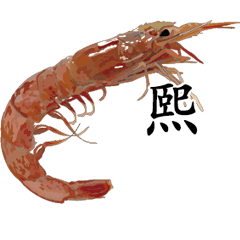 Shrimp Sticker 065