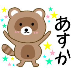 Raccoon Asuka
