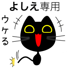 【よしえ】専用の黒猫です