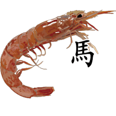 Shrimp Sticker 120