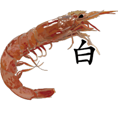 Shrimp Sticker 121