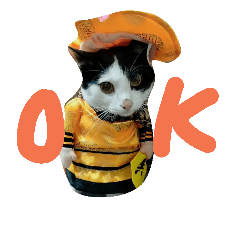 貓咪們 自己罐罐自己賺