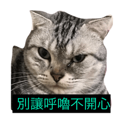 呼嚕專用貼圖