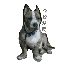 ㄚˋ霸馬尼