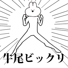 Rabbit Name ushio.moves!