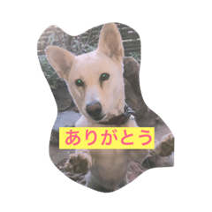 kuu_20181102212203