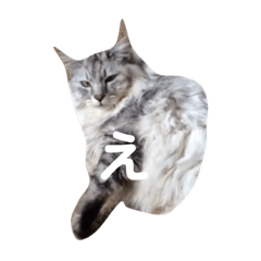ayano_neco