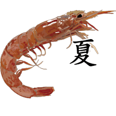 Shrimp Sticker 076