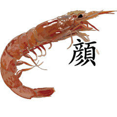 Shrimp Sticker 080