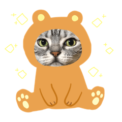 メリスタンプ(猫)