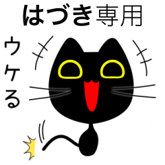 【はづき】専用の黒猫です