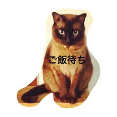 MOKA_20181105@@