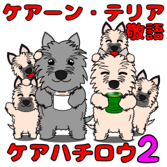 Cairn Terrier "Keahachirou 2".